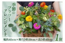 [№5313-0180]季節のフラワーアレンジメント 1個 花 生花 アレンジメント