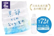 [№5313-0183]【合計144本】定期便 黒部からのおくりもの 500ml×24本×1ケース×6回 総計72L 水 飲料水 名水 ミネラルウォーター/IAC/富山県 黒部市