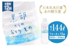 [№5313-0185]【合計288本】定期便 黒部からのおくりもの 500ml×24本×1ケース×12回 総計144L 水 飲料水 名水 ミネラルウォーター/IAC/富山県 黒部市