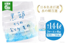 [№5313-0184]【合計288本】定期便 黒部からのおくりもの 500ml×24本×2ケース×6回 総計144L 水 飲料水 名水 ミネラルウォーター 2個口配送/IAC/富山県 黒部市