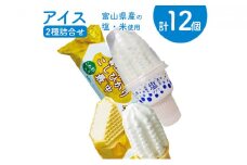 [№5313-0223]アイス 詰め合わせ 塩ソフト＆富山県産こしひかり最中 計12個 アイスクリーム ソフトクリーム モナカ/横山冷菓/富山県 黒部市