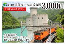 [№5313-0235]黒部市への応援寄附（返礼品はありません）1口 3,000円 返礼品なし