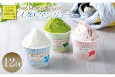 [№5313-0263]KAMANARIYA　イタリアンジェラート 12個