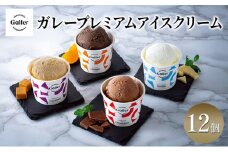 [№5313-0265]ガレープレミアムアイスクリーム 12個