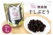 [№5313-0268]無添加 干しぶどう ボッサの干しぶどう 40g×1袋 マスカットベーリーA（種あり）国産 レーズン ドライフルーツ 砂糖不使用