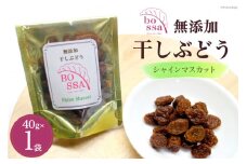 [№5313-0269]無添加 干しぶどう シャインマスカット 40g×1袋 期間限定 国産 レーズン ドライフルーツ 砂糖不使用