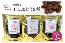 [№5313-0270]無添加 干しぶどう 3種セット 各40g×1袋 計3袋 食べ比べ 期間限定 国産 レーズン ドライフルーツ 砂糖不使用