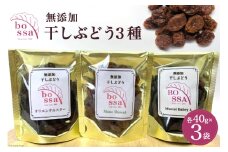 [№5313-0270]無添加 干しぶどう 3種セット 各40g×1袋 計3袋 食べ比べ 期間限定 国産 レーズン ドライフルーツ 砂糖不使用