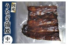 [№5313-0319]うなぎ蒲焼 真空パック 冷凍（中）/長次郎　膳/富山県 黒部市 うなぎ 国産 鰻 蒲焼