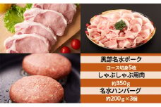[№5313-0333]黒部名水ポーク　ロース切身5枚入り・しゃぶしゃぶ用肉（約350g）・名水ハンバーグ（約200g）×3個/ふるさと納税/富山県黒部市