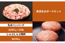 [№5313-0334]黒部名水ハンバーグ10個・しゃぶしゃぶ用肉（約250g）/ふるさと納税/富山県黒部市