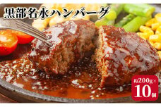 [№5313-0354]黒部名水ハンバーグ10個セット/ふるさと納税/富山県黒部市