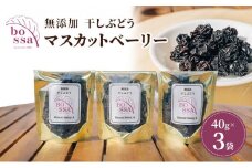[№5313-0352]無添加 干しぶどう ボッサの干しぶどう 40g×3袋 マスカットベーリーA（種あり）国産 レーズン ドライフルーツ 砂糖不使用/富山県黒部市