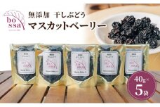 [№5313-0353]無添加 干しぶどう ボッサの干しぶどう 40g×5袋 マスカットベーリーA（種あり）国産 レーズン ドライフルーツ 砂糖不使用/富山県黒部市