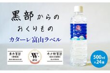 [№5313-0374]黒部からのおくりもの　カターレ富山ラベル[500ml×24本]