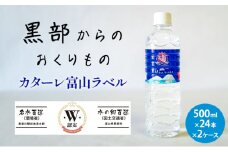 [№5313-0375]黒部からのおくりもの　カターレ富山ラベル[500ml×24本×2ケース]2個口配送