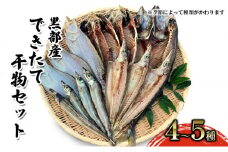 [№5313-0403]できたて干物セット 4～5種 おまかせ 富山県黒部市/産地直送 旬 魚介 魚 さかな 詰め合わせ ひもの 富山湾 名水 産地直送 生地