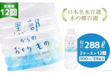 [№5313-0416]【合計576本】定期便 黒部からのおくりもの 500ml×24本×2ケース×12回 総計288L 名水百選 黒部の名水 防災 アウトドア ペットボトル 飲料水 ミネラルウォーター 2個口配送/IAC/富山県 黒部市