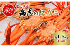 [№5313-0410]【訳あり】富山湾産カニ 高志の紅ガニ お買い得 約1.5kg（4～5杯）富山県黒部市/紅ズワイ カニ 漁師直販 恵比須丸