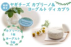 [№5313-0417]【期間限定】ヤギチーズ カプリーノ&ヨーグルト ディ カプラ 富山県推奨とやまブランド認定品/富山県黒部市