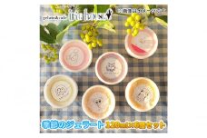 [№5313-0433]【お任せ】季節のジェラート120ml×お楽しみ6個セット/富山県黒部市 アイス アイスクリーム アイリーハウス 黒部の名水 送料無料