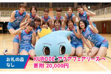 [№5313-0429]【お礼の品なし】KUROBEアクアフェアリーズへのお応援寄附20,000円
