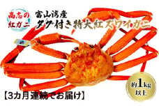[№5313-0471]【3か月連続でお届け】厳選! 高志の紅ガニ 富山湾産タグ付き特大紅ズワイガニ 1kg以上 富山県黒部市/ 贈答 自分にご褒美 漁師直販 恵比須丸 定期便