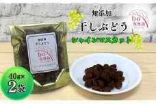 [№5313-0478]無添加 干しぶどう シャインマスカット 40g×2袋 期間限定 国産 レーズン ドライフルーツ 砂糖不使用