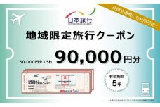 [№5313-0493]富山県黒部市 日本旅行　地域限定旅行クーポン【９０，０００円分】