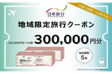 [№5313-0495]富山県黒部市 日本旅行　地域限定旅行クーポン【３００，０００円分】