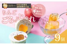 [№5313-0504]りんご ごろっとじゅれ　9個入り