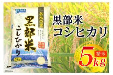 [№5313-0026]【令和7年産】黒部米 コシヒカリ 5kg 精米