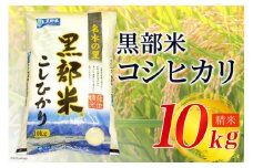 [№5313-0029]【令和7年産】 黒部米 コシヒカリ 10kg  精米
