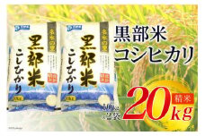 [№5313-0031]【令和7年産】黒部米 コシヒカリ 10kg×2袋 計20kg 精米