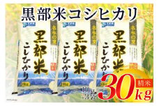 [№5313-0032]【令和7年産】 黒部米 コシヒカリ 10kg×3袋 計30kg 精米