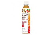 からだ巡茶アドバンス　410mlPET×24本【1473460】