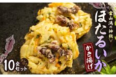 富山産ほたるいか入りかき揚げ＜かき揚げ丼の具10食セット＞【1551201】
