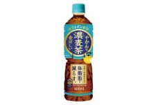 爽健美茶やかんの濃麦茶600mlPET×24本【1551255】