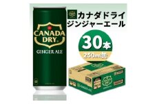 カナダドライジンジャーエール250ml缶×30本【1551264】