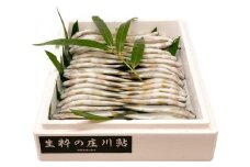 生粋の庄川鮎（1kg）