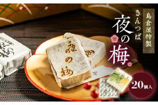 島倉屋特製　夜の梅　20個入り【1306307】