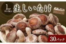 生しいたけ(パック)30P箱入り【1288314】