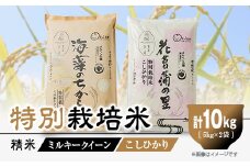 特別栽培米10kg(精米/ミルキークイーン・コシヒカリ　各5kg)【1290532】