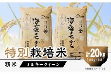 特別栽培米20kg (精米/ミルキークイーン10kg×2)【1290533】