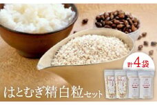 はとむぎ精白粒セット(大粒200g×2袋、砕粒500g×2袋)【1291665】