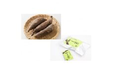 ヤーコンセットA(生ヤーコン　2kg、ヤーコン茶　10個×2セット)【1290666】