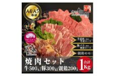 おやべのお肉焼肉セット1kg(和牛カルビ500g・豚300g・親鶏200g)【1291450】