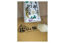コシヒカリ精米　10kg【1386990】
