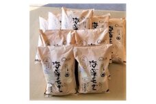 2023年9月発送開始『定期便』ミルキークイーン(海藻のちから)5kg×10ヶ月連続　全10回【5147655】