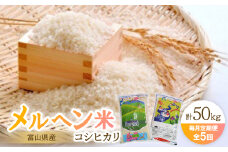 ＜毎月定期便＞富山県メルヘン米コシヒカリ計50kg(10kg×5回)全5回【4013231】